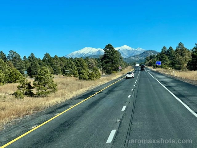 IMG 3118