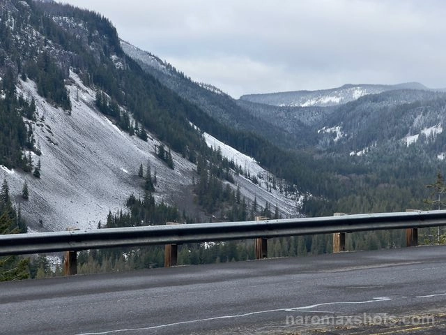 IMG 3975