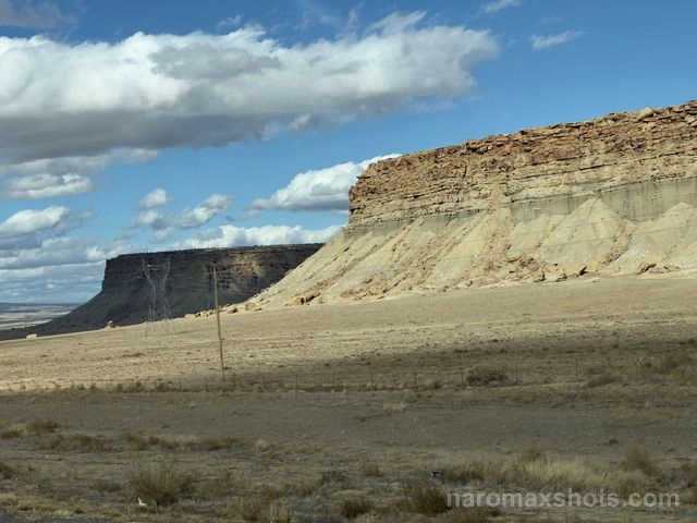 IMG 2528