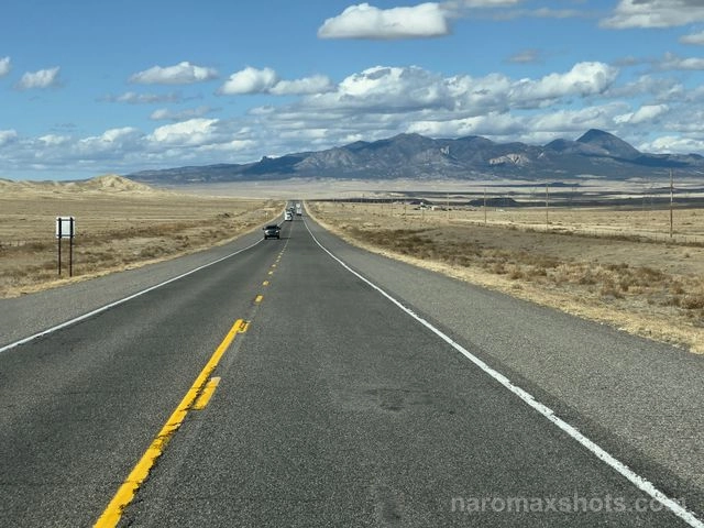 IMG 2529