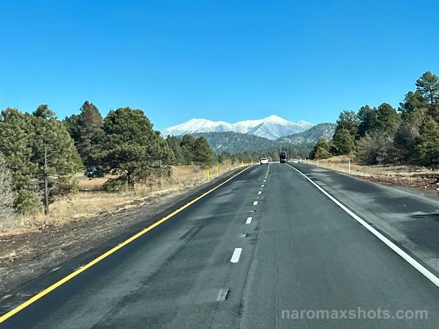 IMG 3119