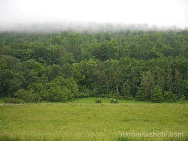 B0000371
